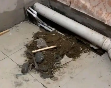 临漳卫生间漏水检测哪家好