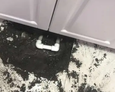 临漳查漏水哪家好