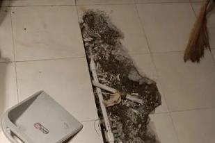 临漳卫生间漏水检测电话